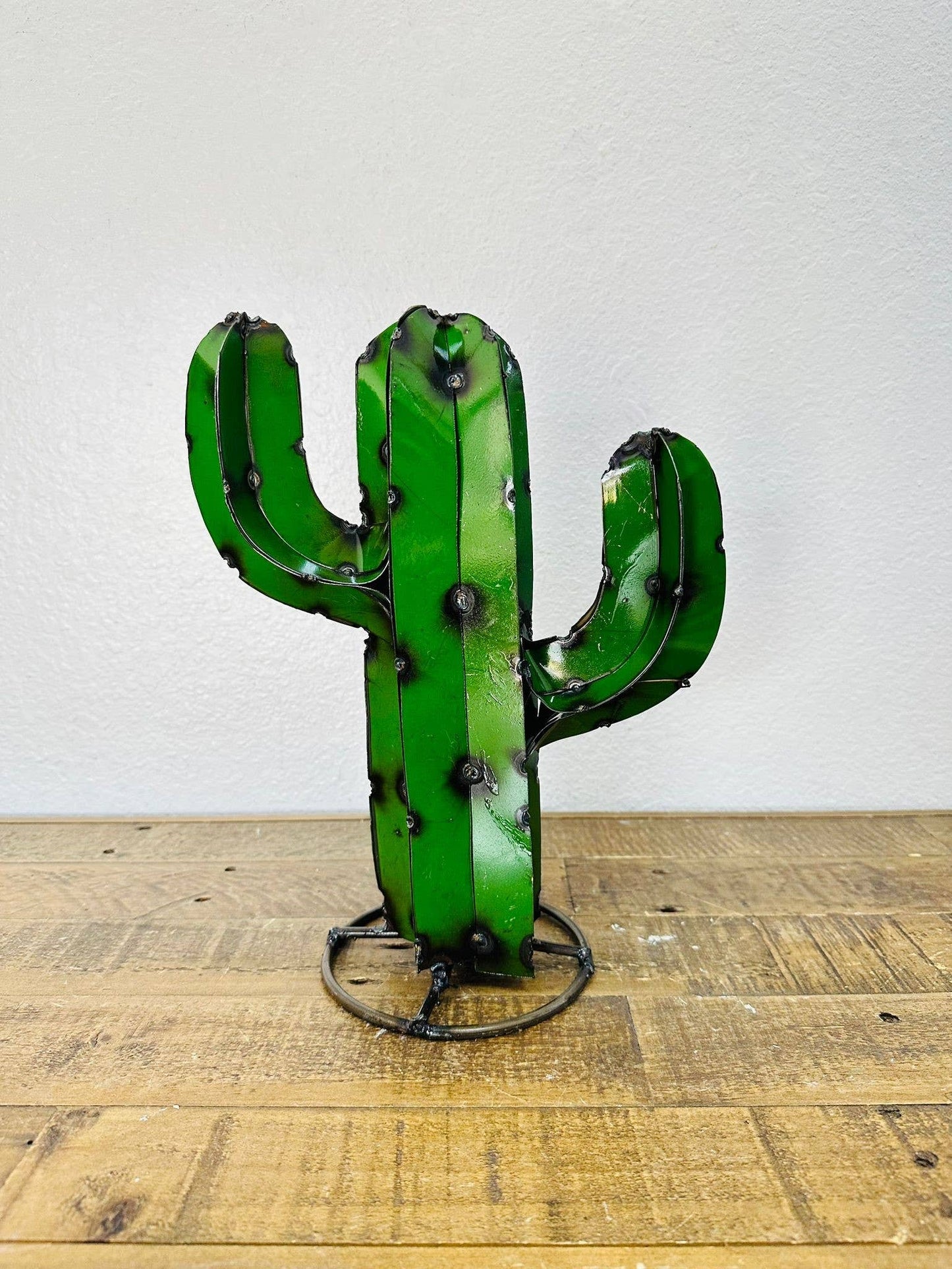 12" Arizona Cactus - Asstd. Colors - E-4