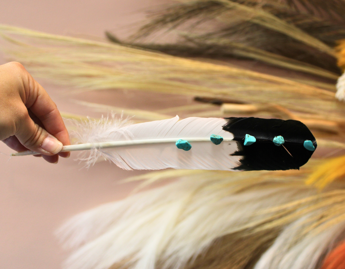 Turquoise Studded Premium Black Tipped Turkey Feathers
