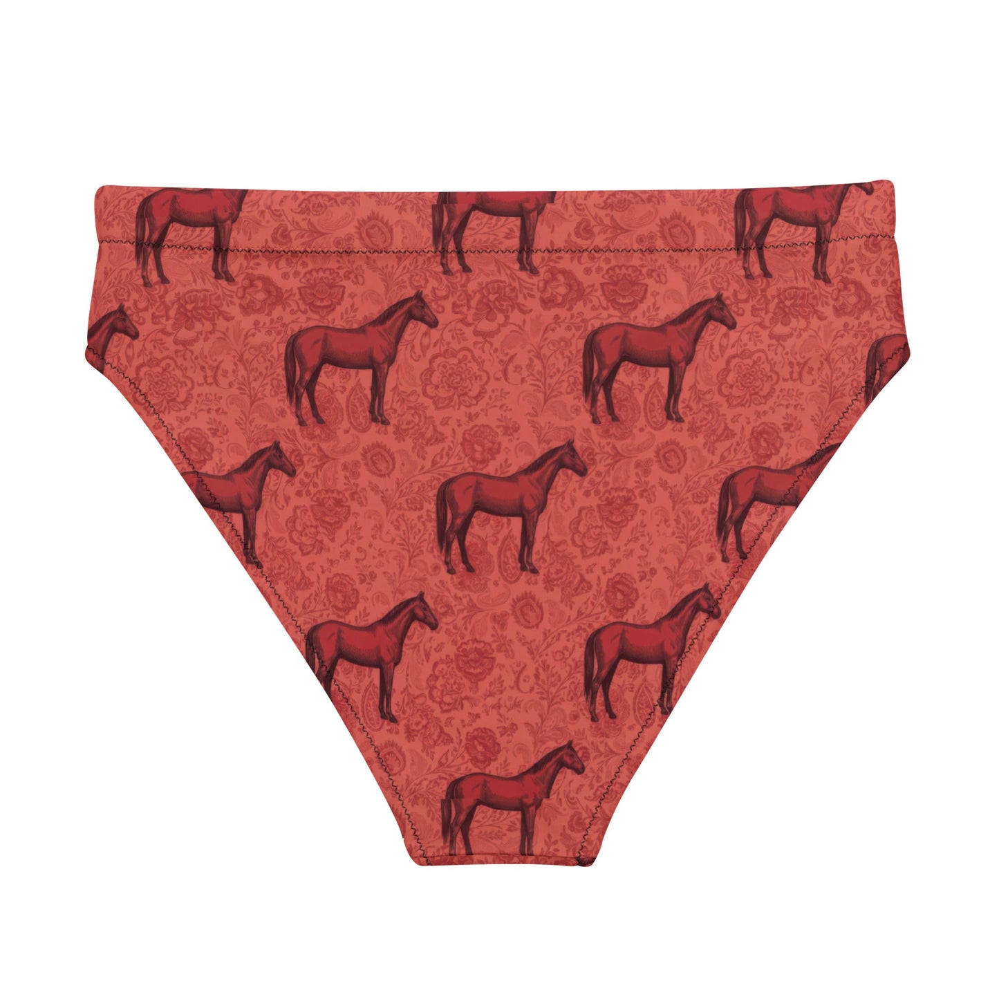 Scarlet Rein high-waisted bikini bottom