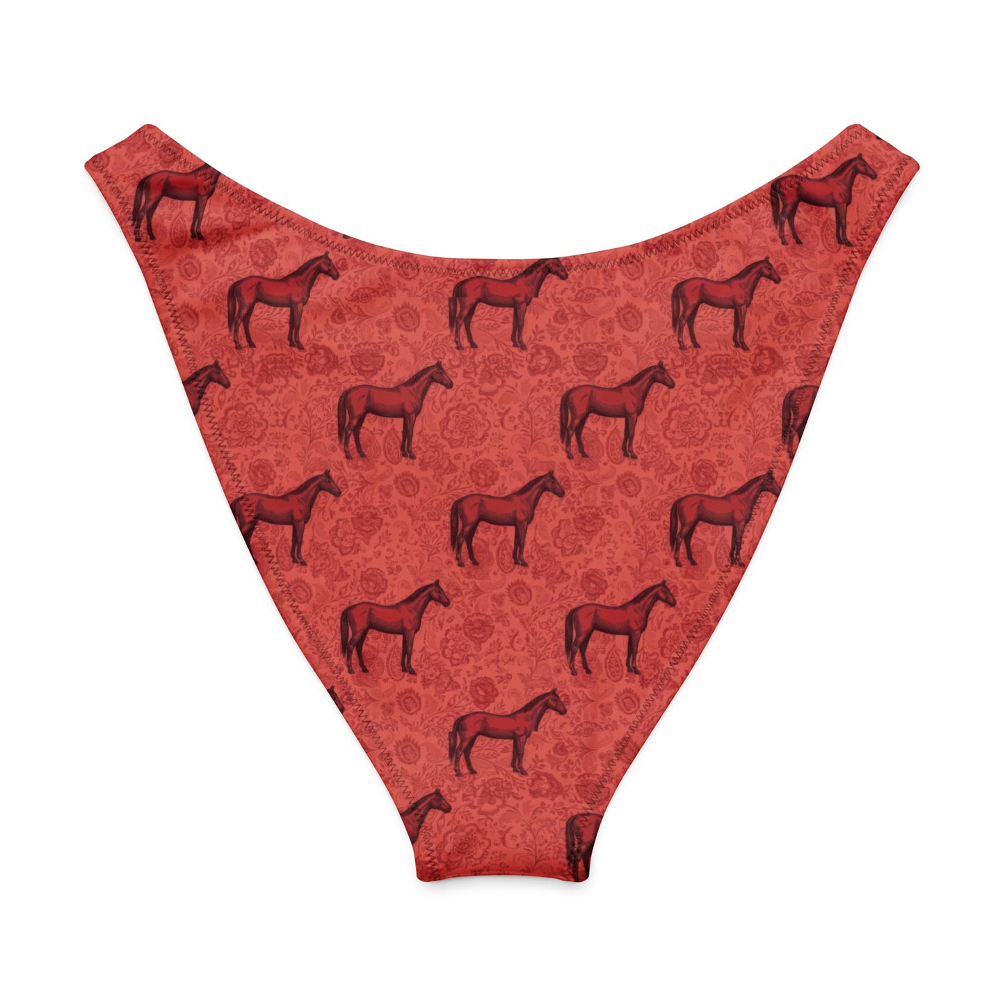 Scarlet Rein V-cut bikini bottom