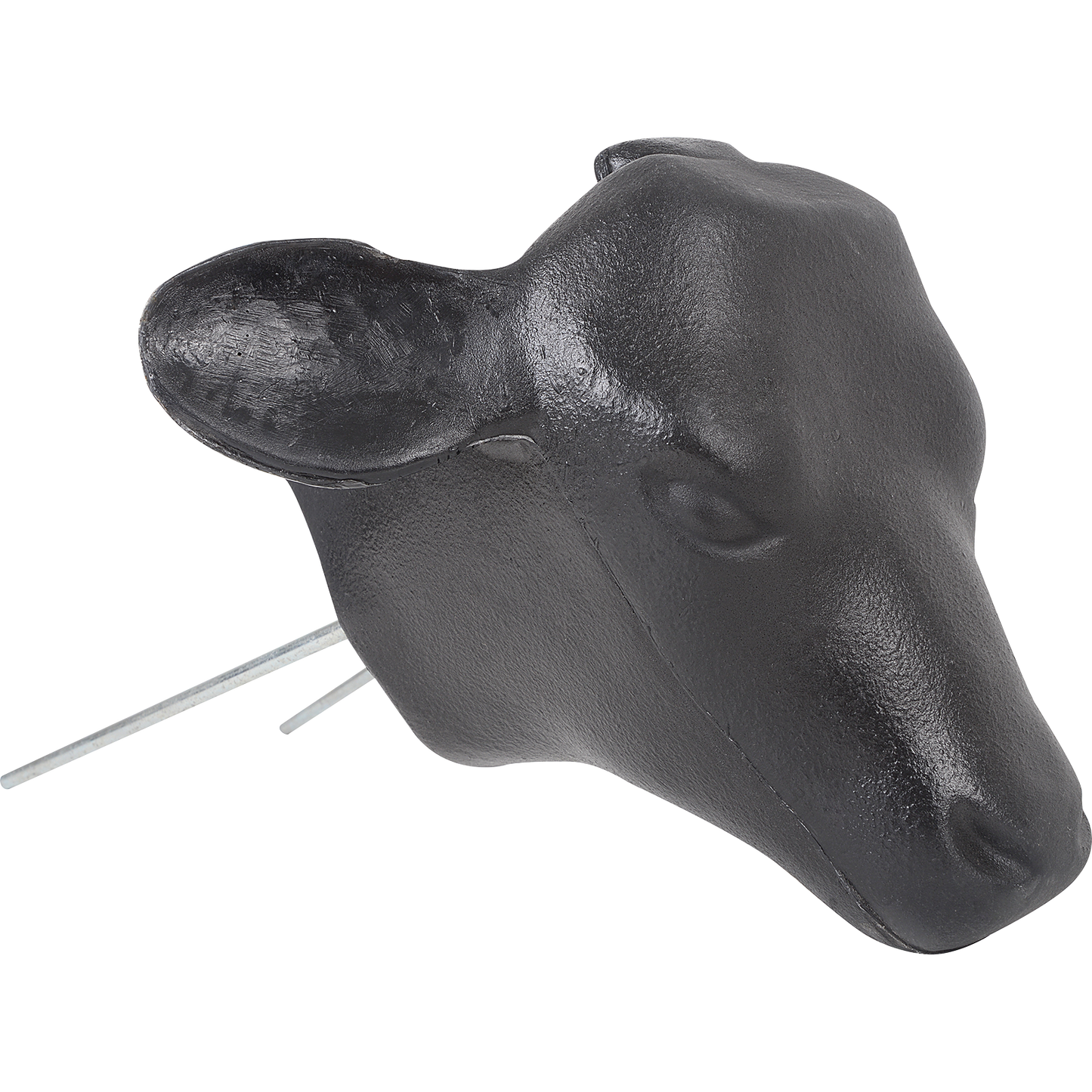 Calf Head