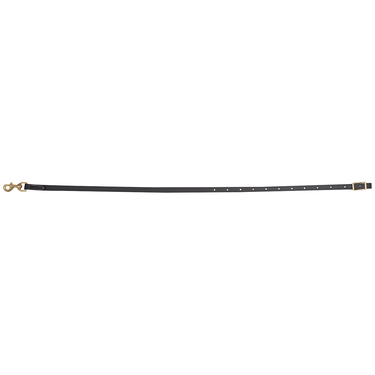 Tie-down Strap, BioThane