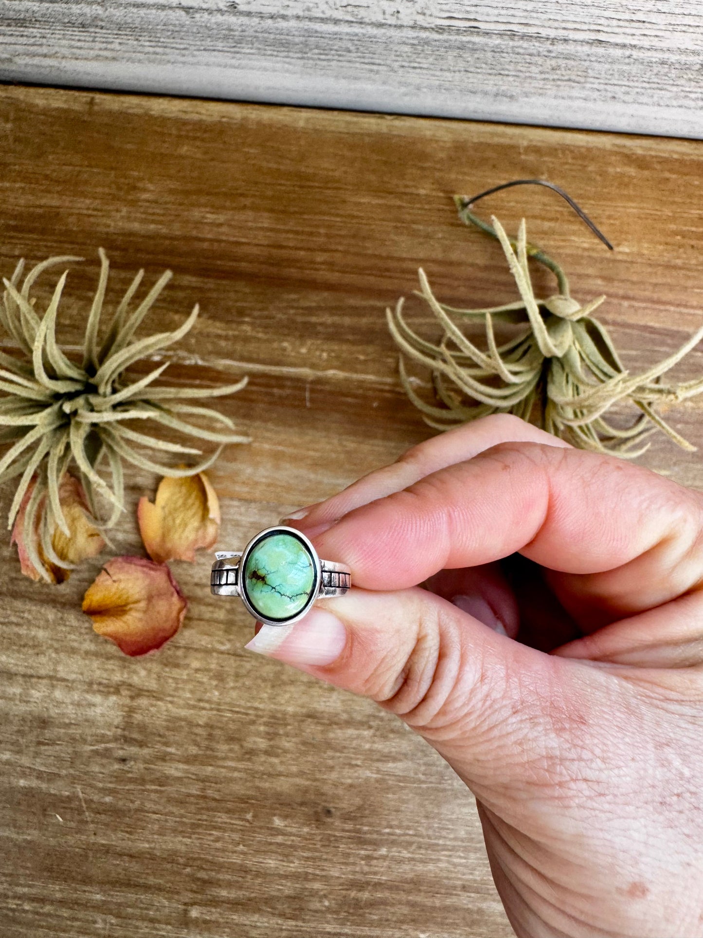 Sonoran Gold Turquoise Ring – Size 7 – Sterling Silver