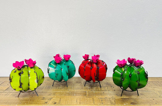 9" Pincushion Cactus - Asstd. Colors - H-2