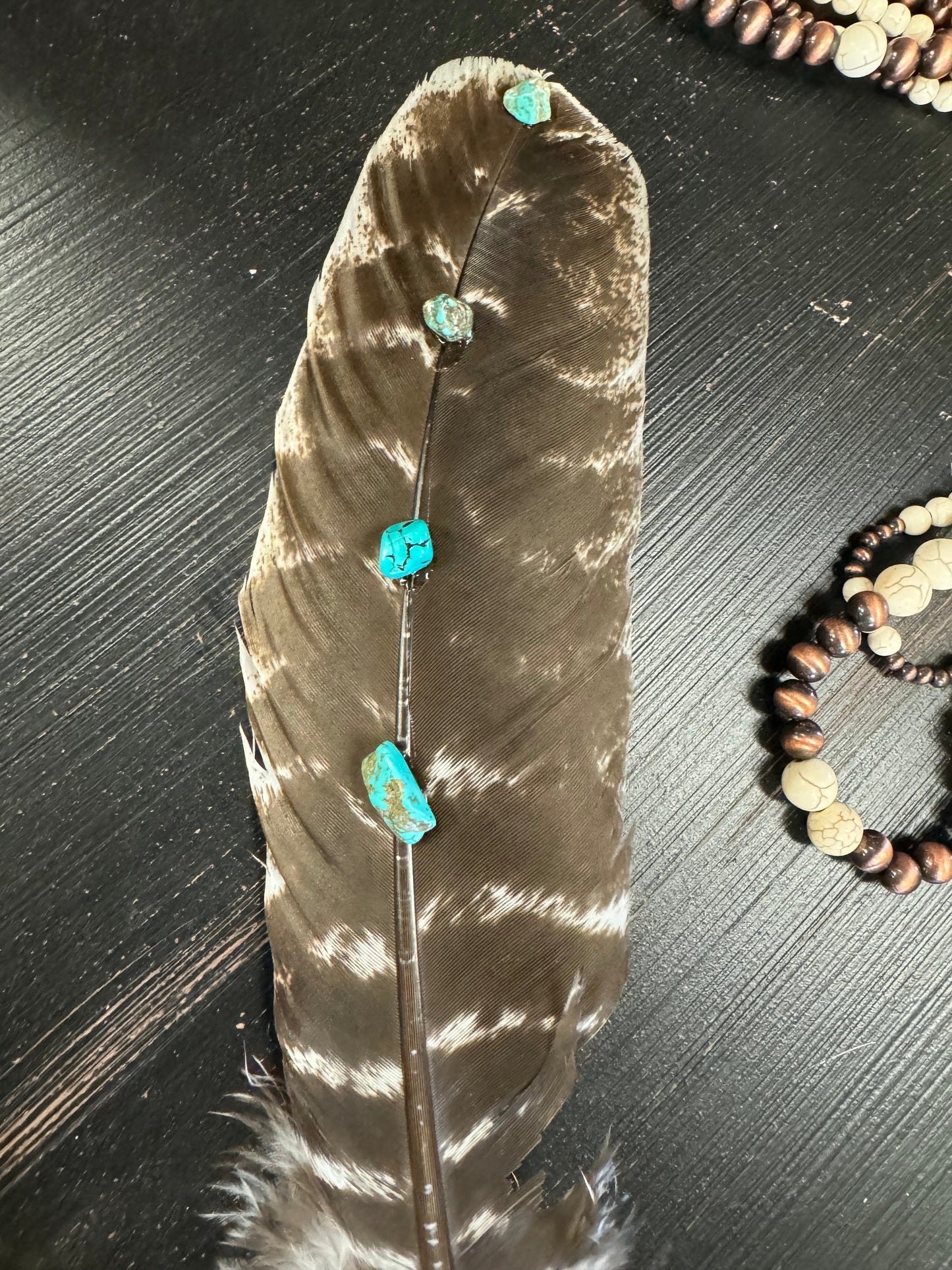 Hand-Studded Natural Barred Turkey Feather with Turquoise Howlite