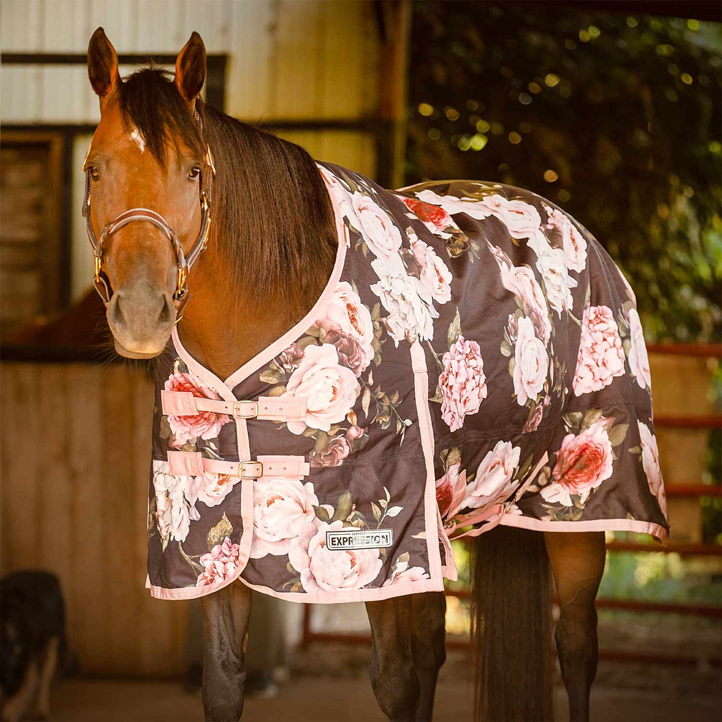 1200 Denier Standard Neck Horse Turnout Sheet, 0 Gram
