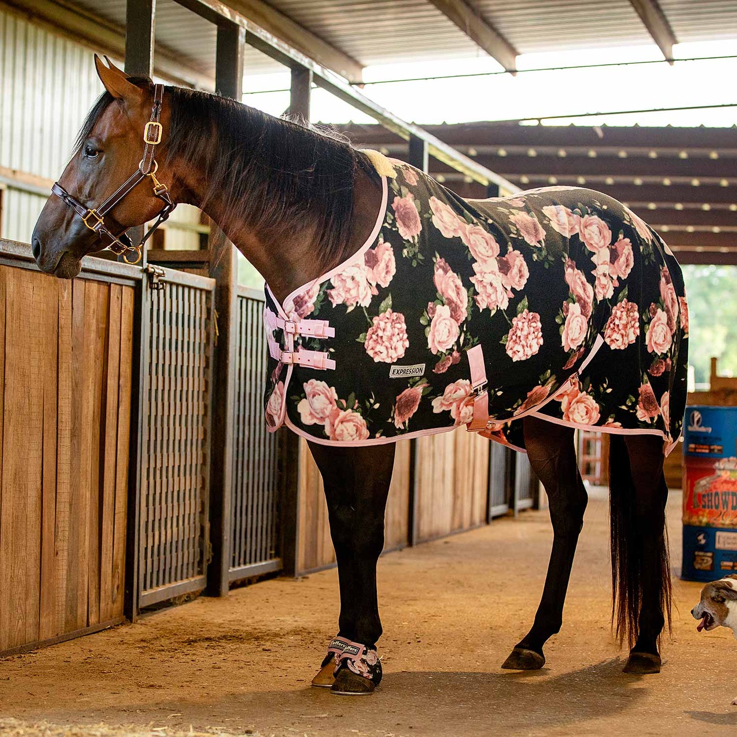 Standard Neck Fleece Horse Cooler