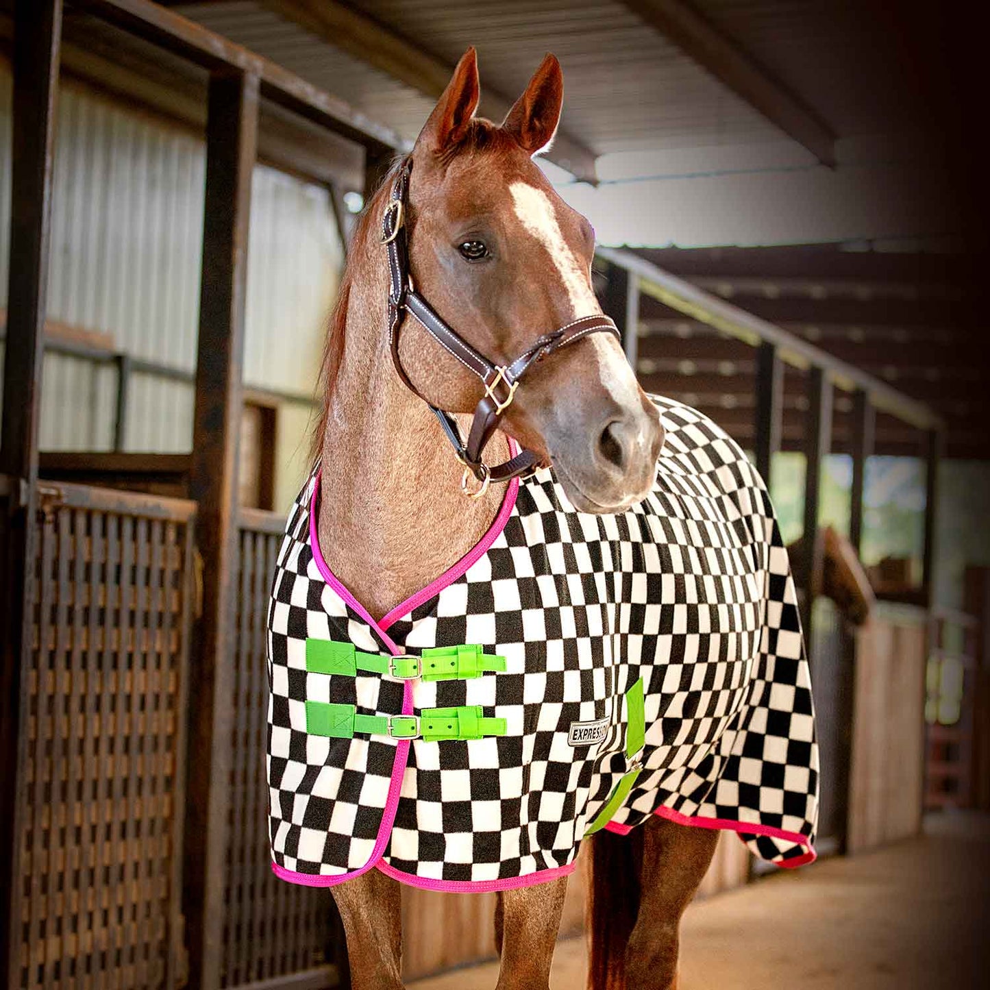 Standard Neck Fleece Horse Cooler