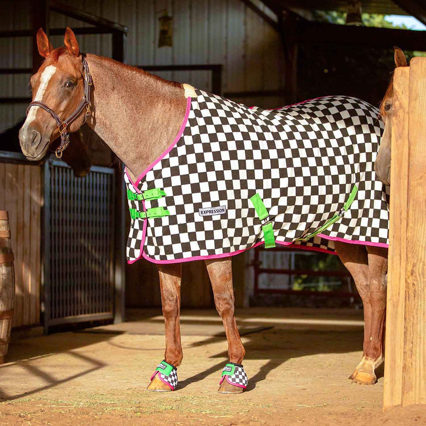 Standard Neck Fleece Horse Cooler