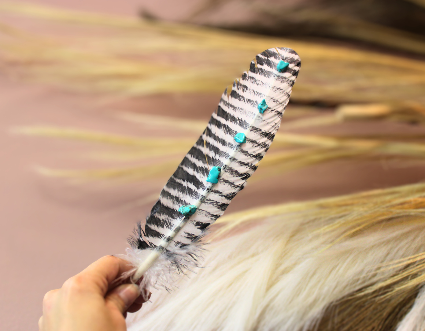 Turquoise Studded Premium White Barred Turkey Feather