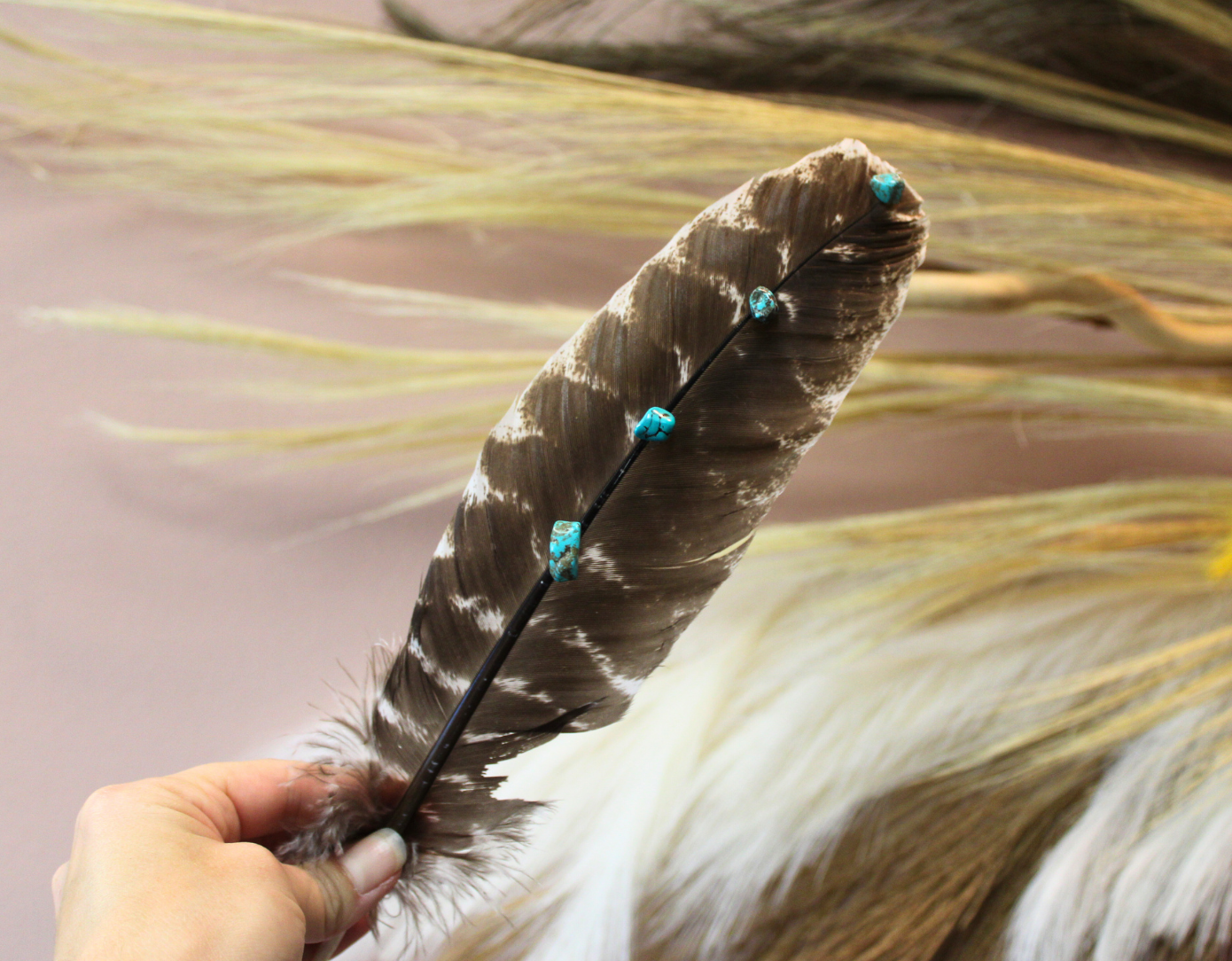 Hand-Studded Natural Barred Turkey Feather with Turquoise Howlite
