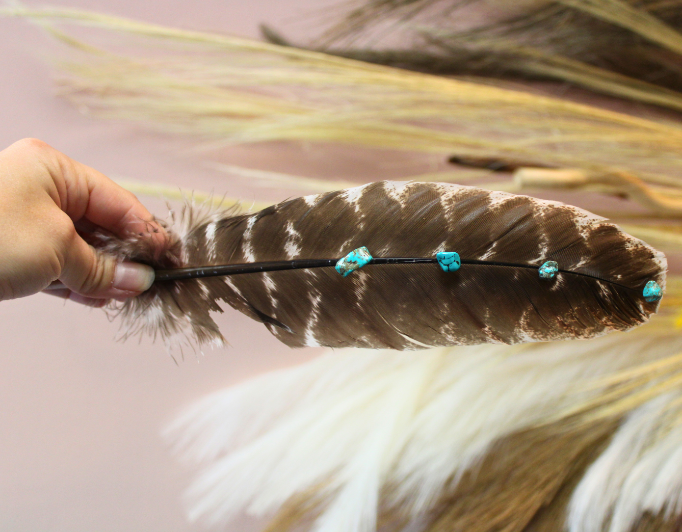Hand-Studded Natural Barred Turkey Feather with Turquoise Howlite
