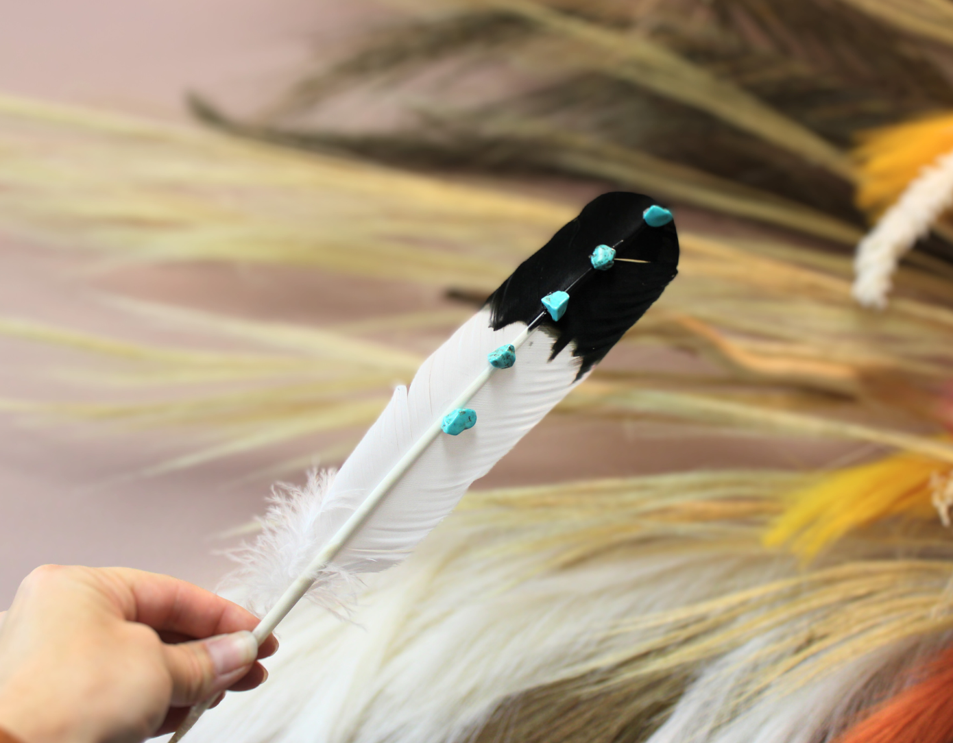 Turquoise Studded Premium Black Tipped Turkey Feathers