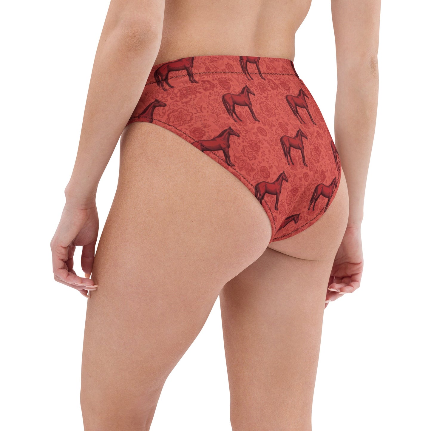Scarlet Rein high-waisted bikini bottom