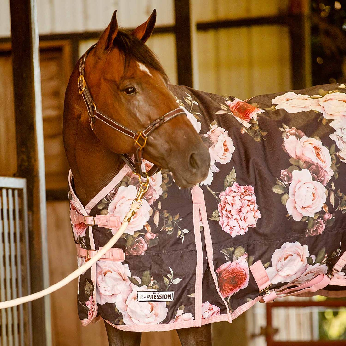 1200 Denier Standard Neck Horse Turnout Sheet, 0 Gram