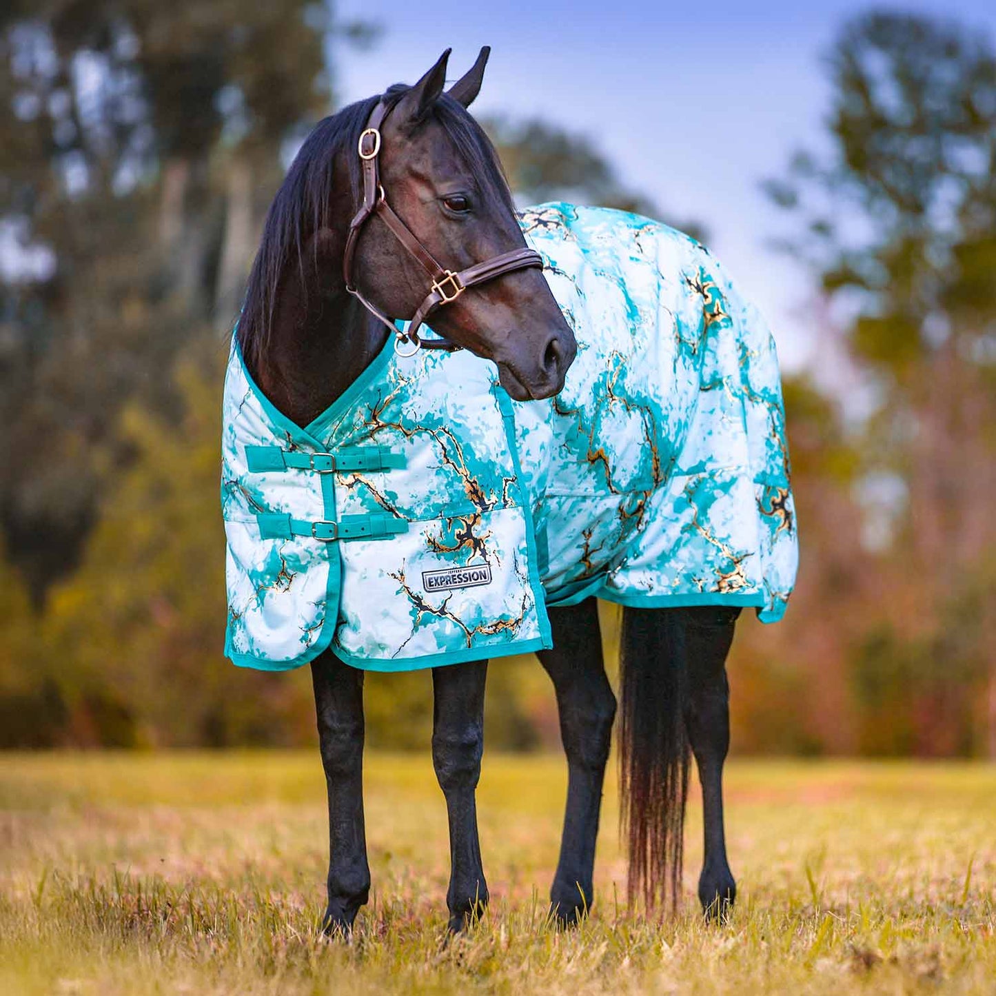 1200 Denier Standard Neck Horse Turnout Sheet, 0 Gram