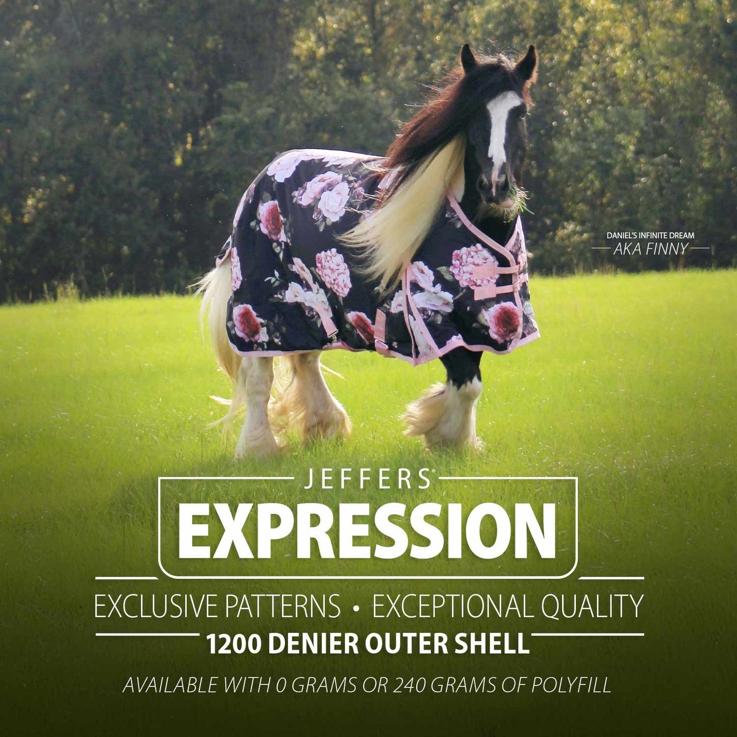 1200 Denier Standard Neck Horse Turnout Sheet, 0 Gram