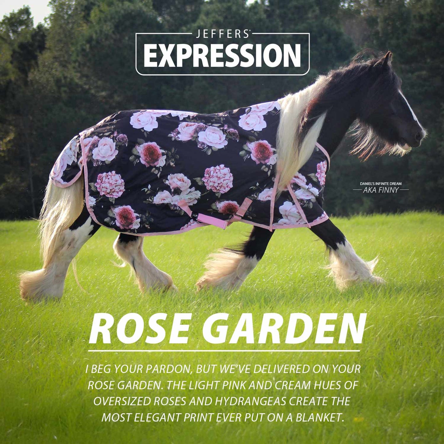 1200 Denier Standard Neck Turnout Horse Blanket, 240 Gram
