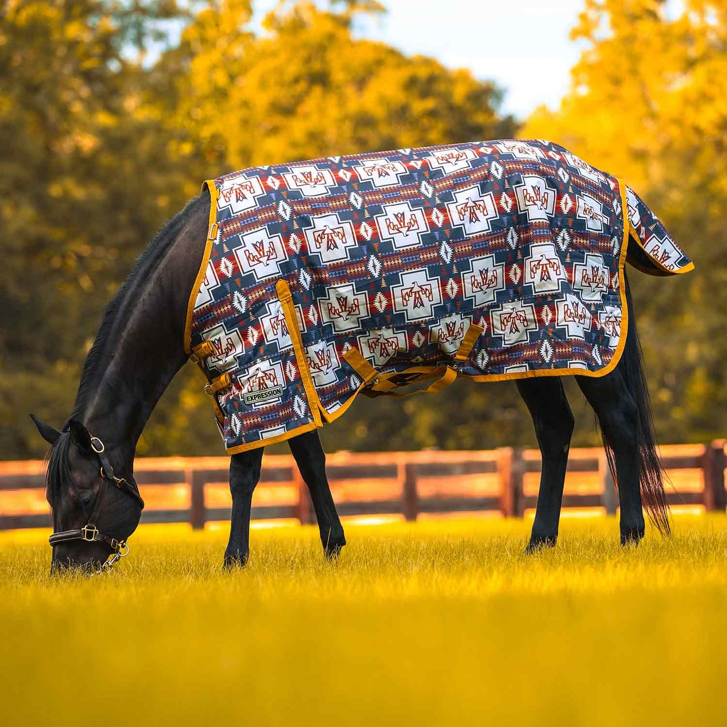1200 Denier Standard Neck Horse Turnout Sheet, 0 Gram
