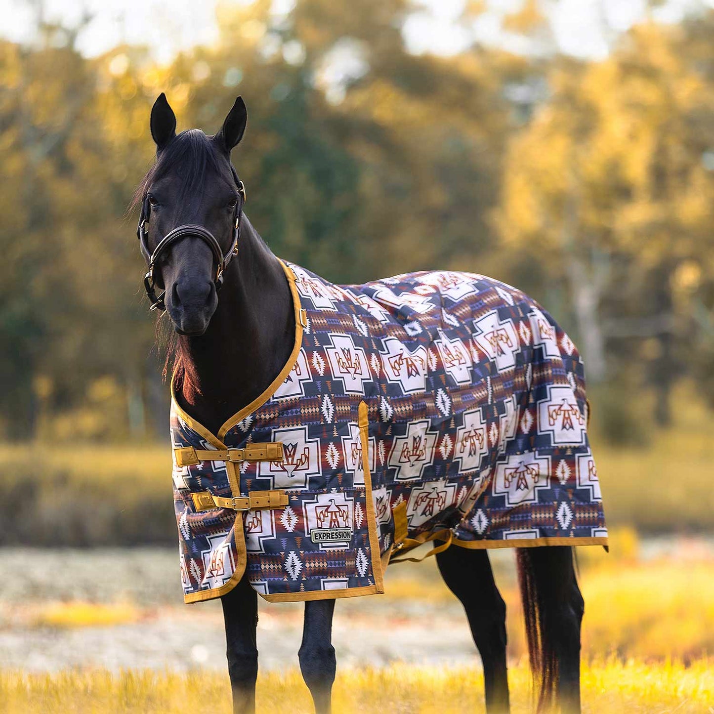 1200 Denier Standard Neck Horse Turnout Sheet, 0 Gram