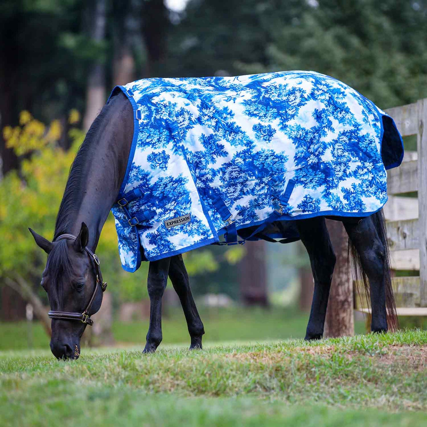 1200 Denier Standard Neck Horse Turnout Sheet, 0 Gram