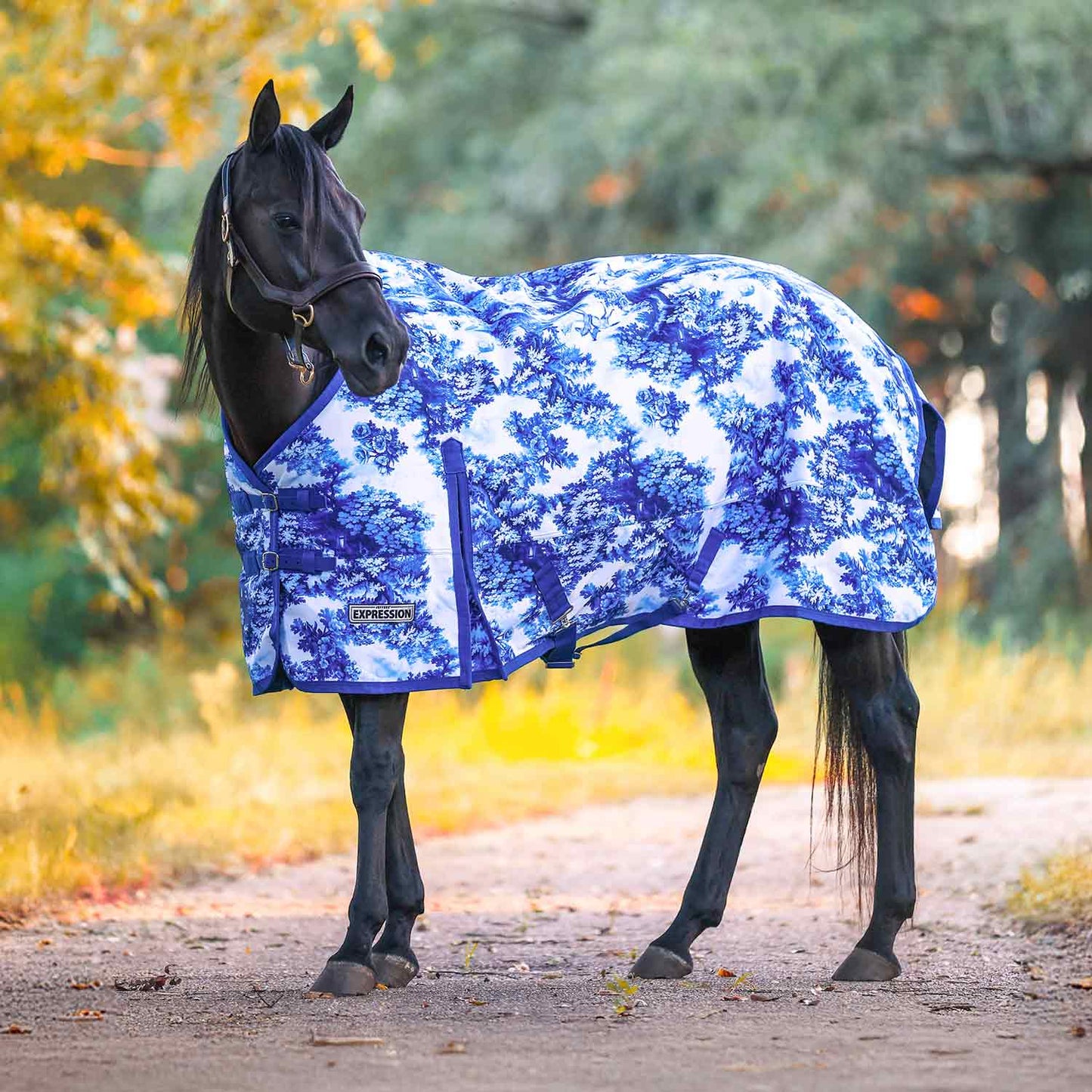 1200 Denier Standard Neck Turnout Horse Blanket, 240 Gram