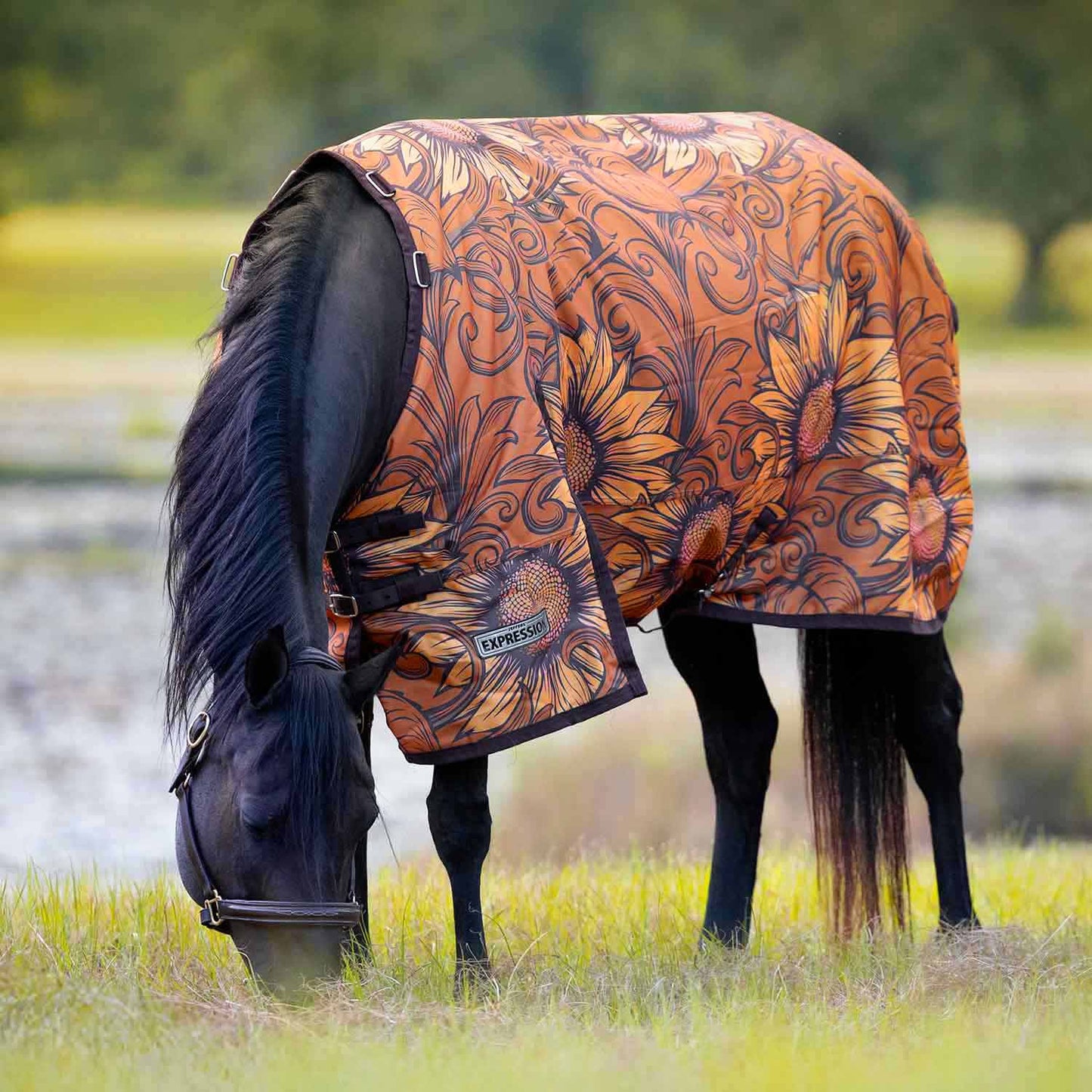 1200 Denier Standard Neck Turnout Horse Blanket, 240 Gram