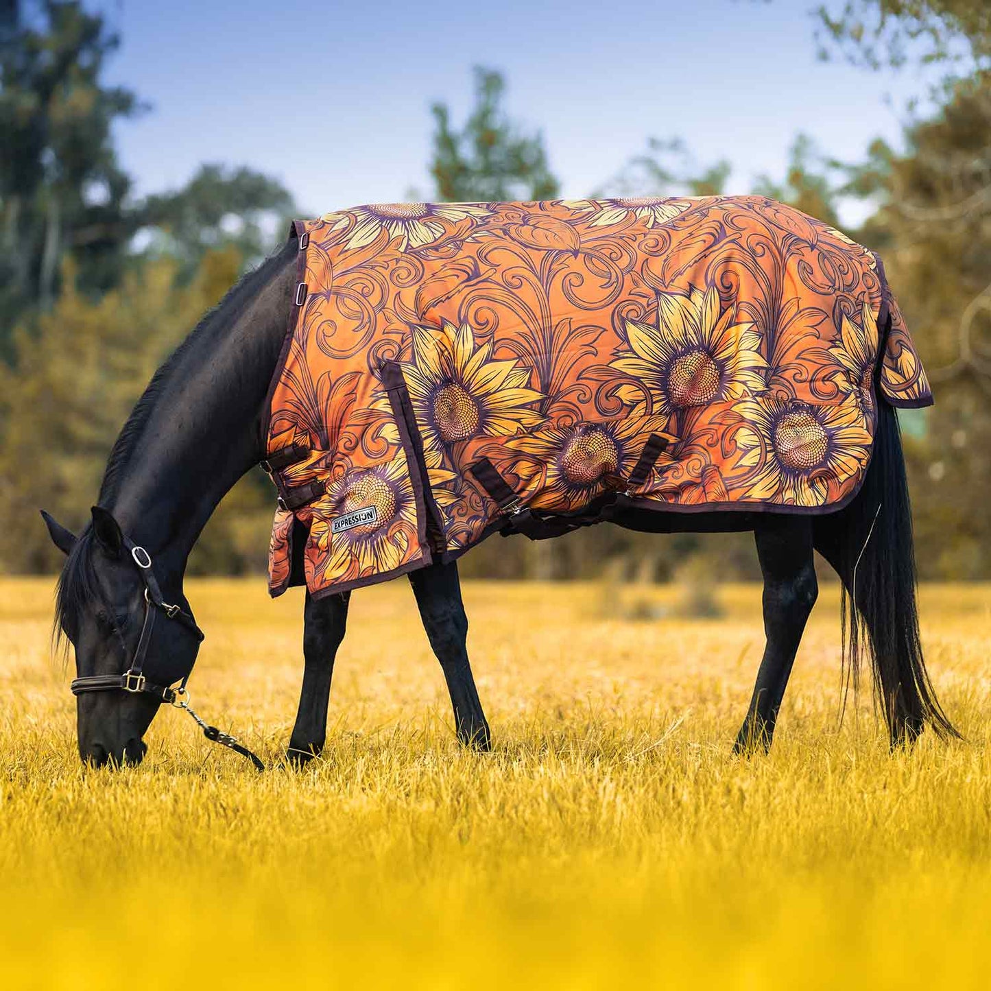 1200 Denier Standard Neck Horse Turnout Sheet, 0 Gram