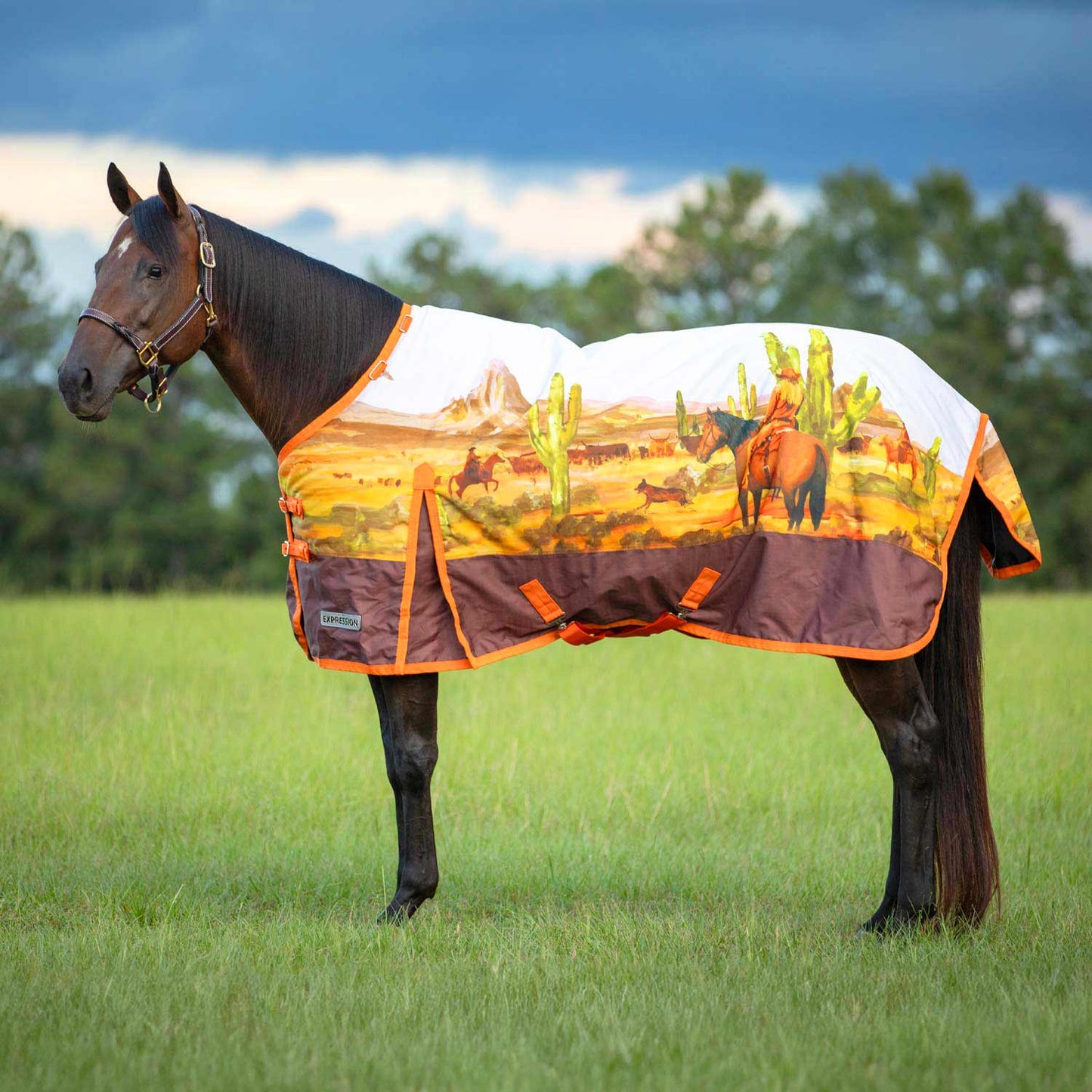 1200 Denier Standard Neck Horse Turnout Sheet, 0 Gram