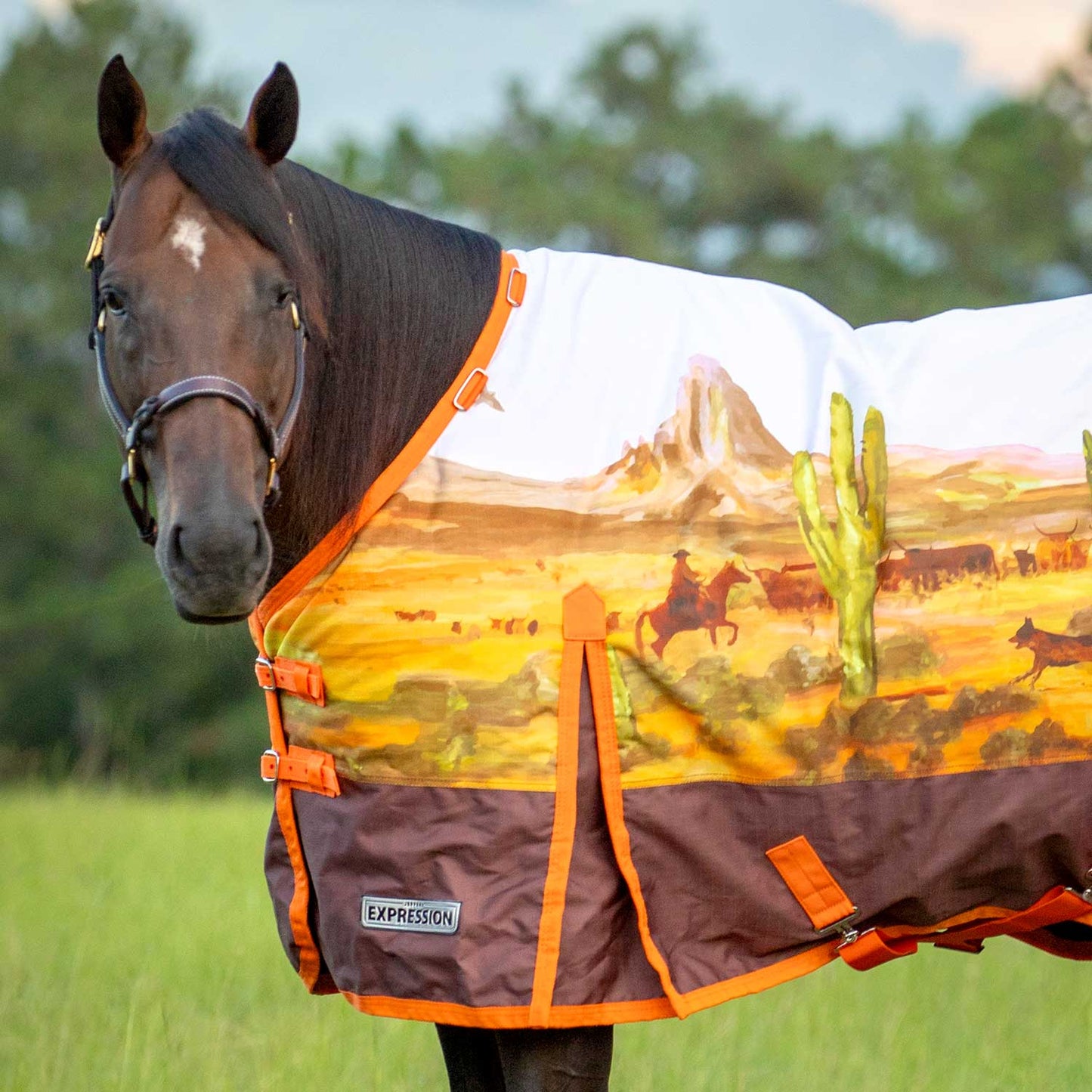 1200 Denier Standard Neck Horse Turnout Sheet, 0 Gram