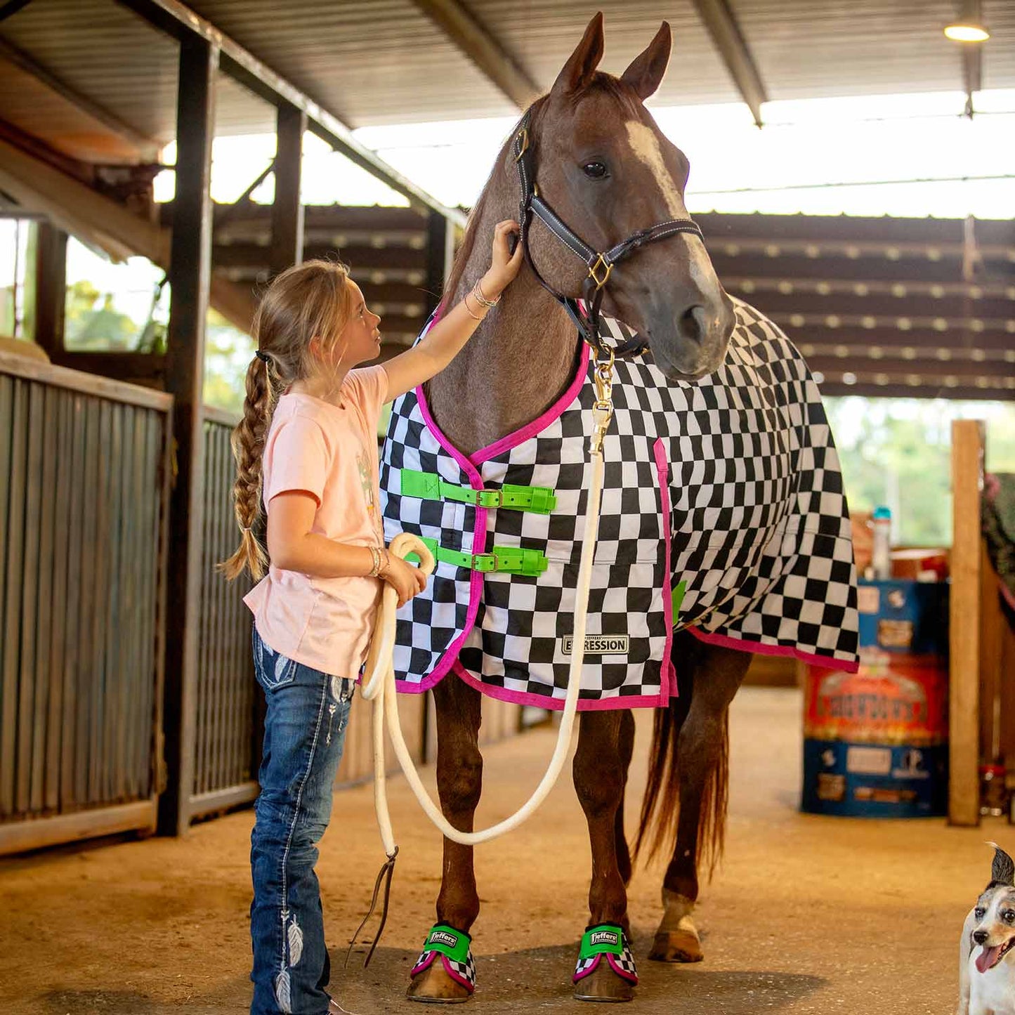 1200 Denier Standard Neck Horse Turnout Sheet, 0 Gram