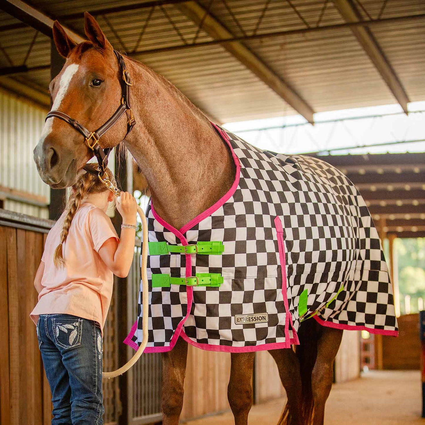 1200 Denier Standard Neck Horse Turnout Sheet, 0 Gram