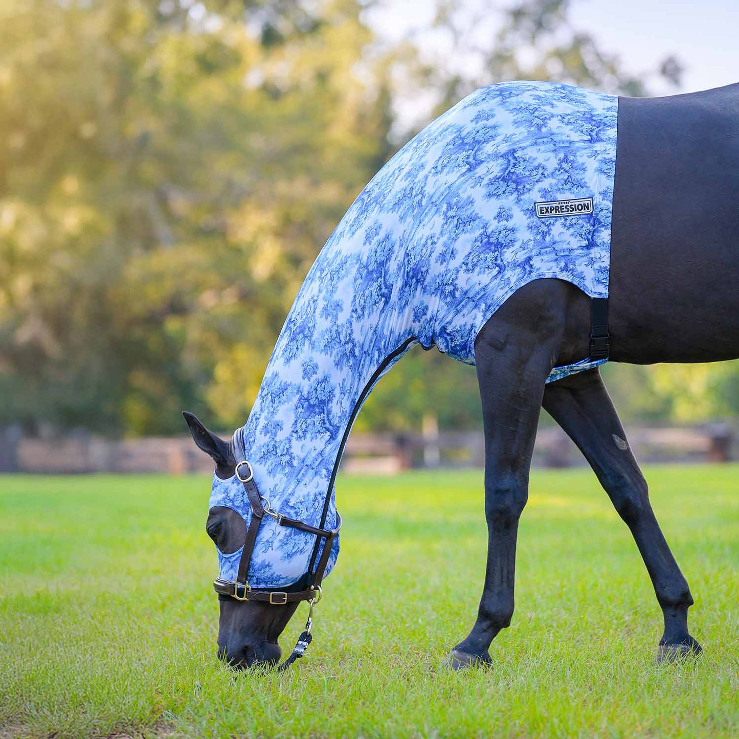 Lycra Hood for Horses