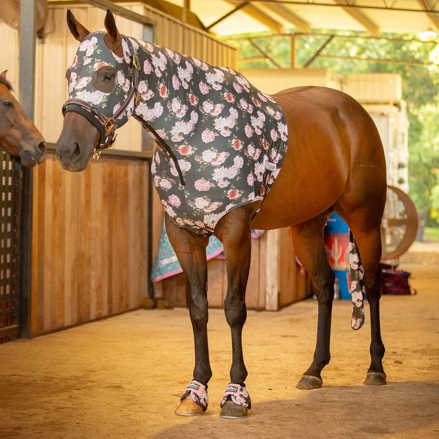 Lycra Hood for Horses