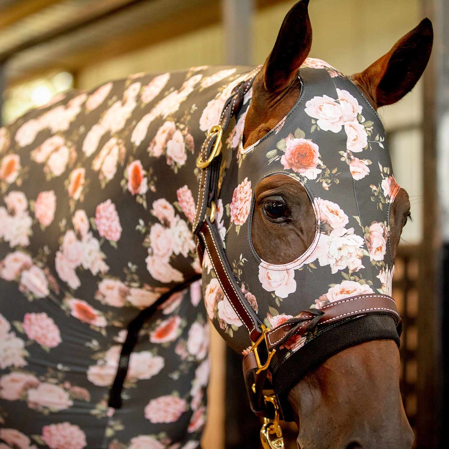 Lycra Hood for Horses
