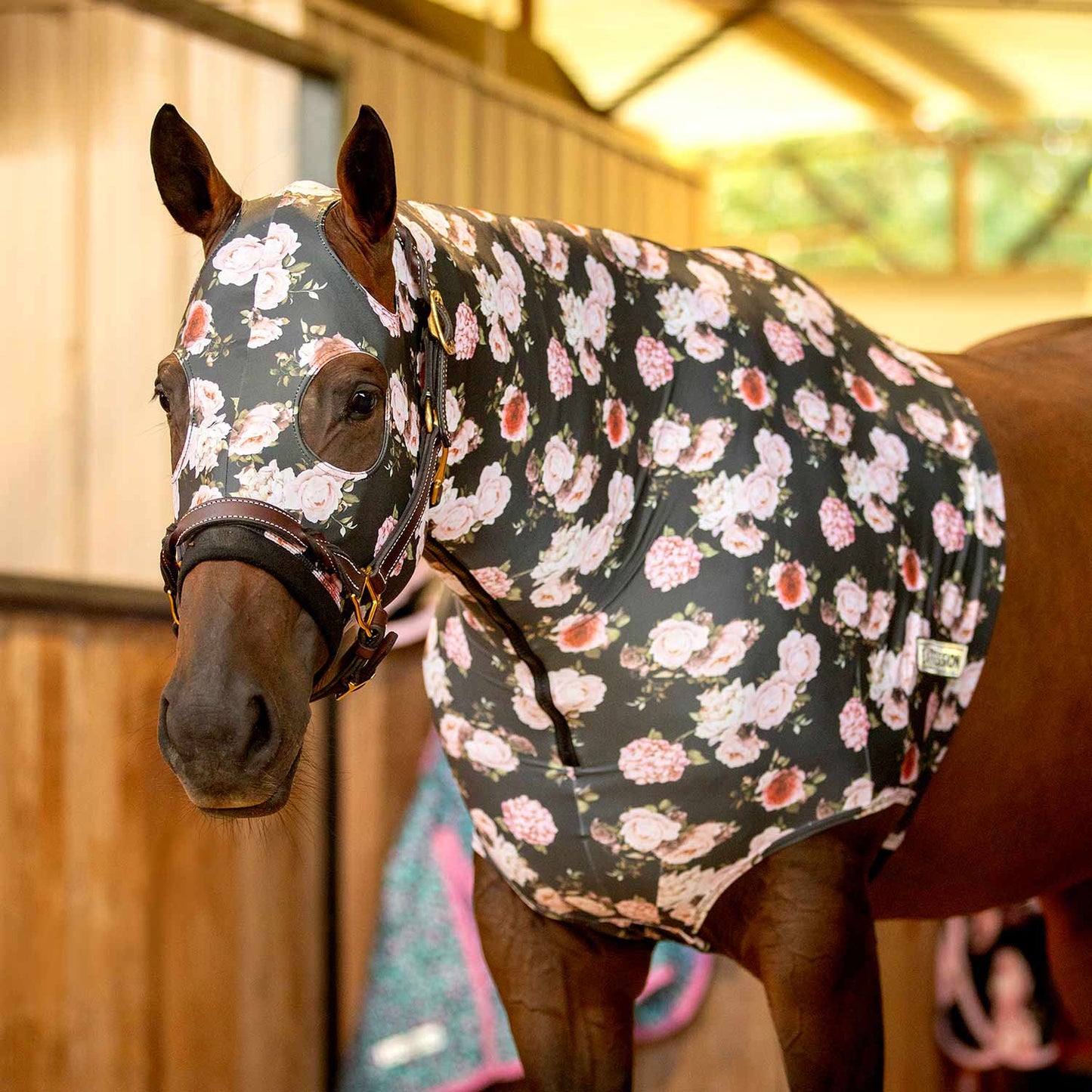 Lycra Hood for Horses