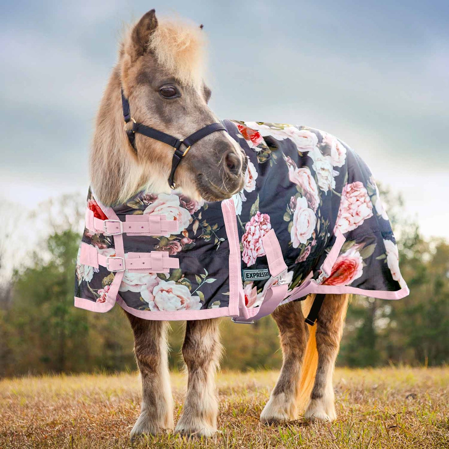 Pony 1200 Denier Medium Weight Standard Neck Turnout Blanket, 240g Fill