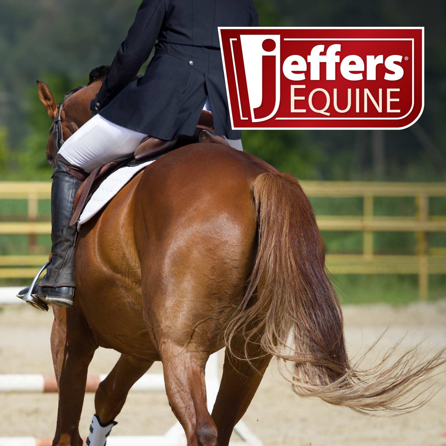 Softmesh Combo Neck Horse Fly Sheet