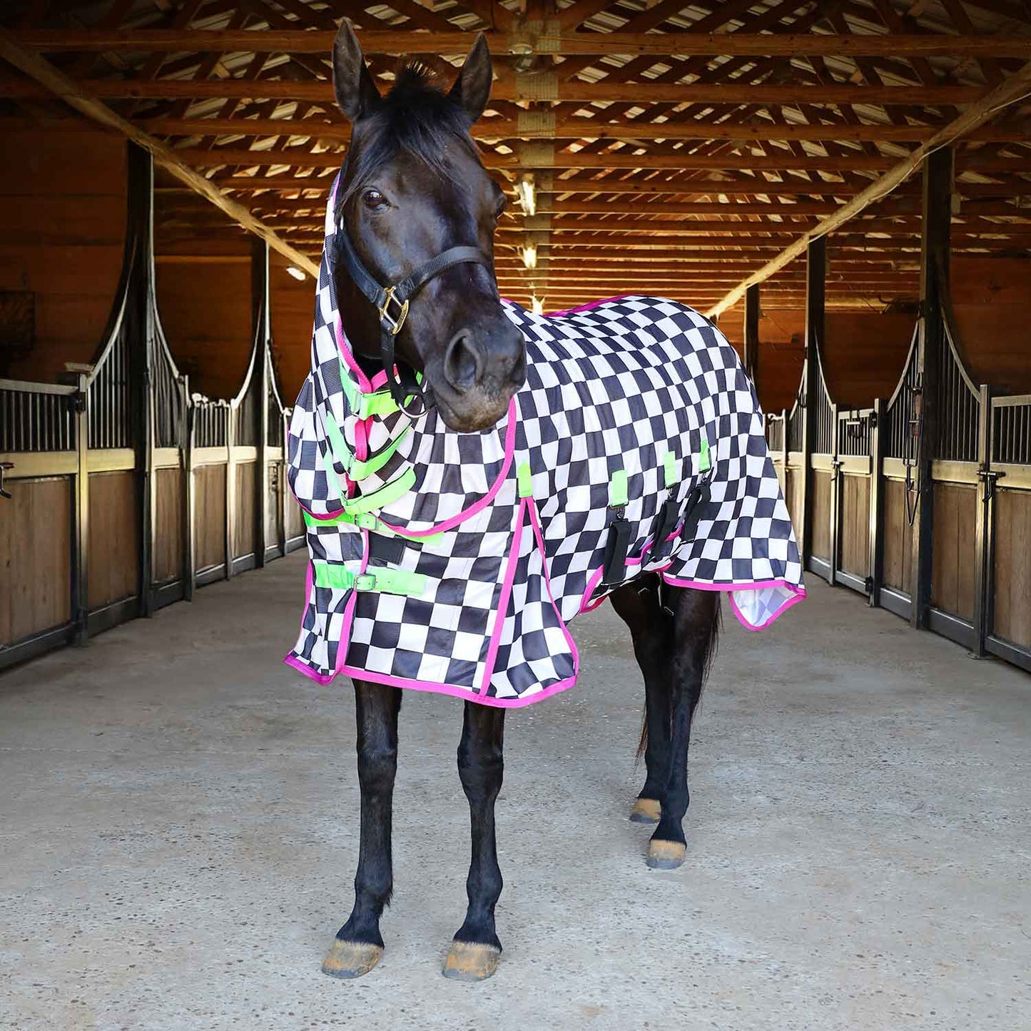 Softmesh Combo Neck Horse Fly Sheet