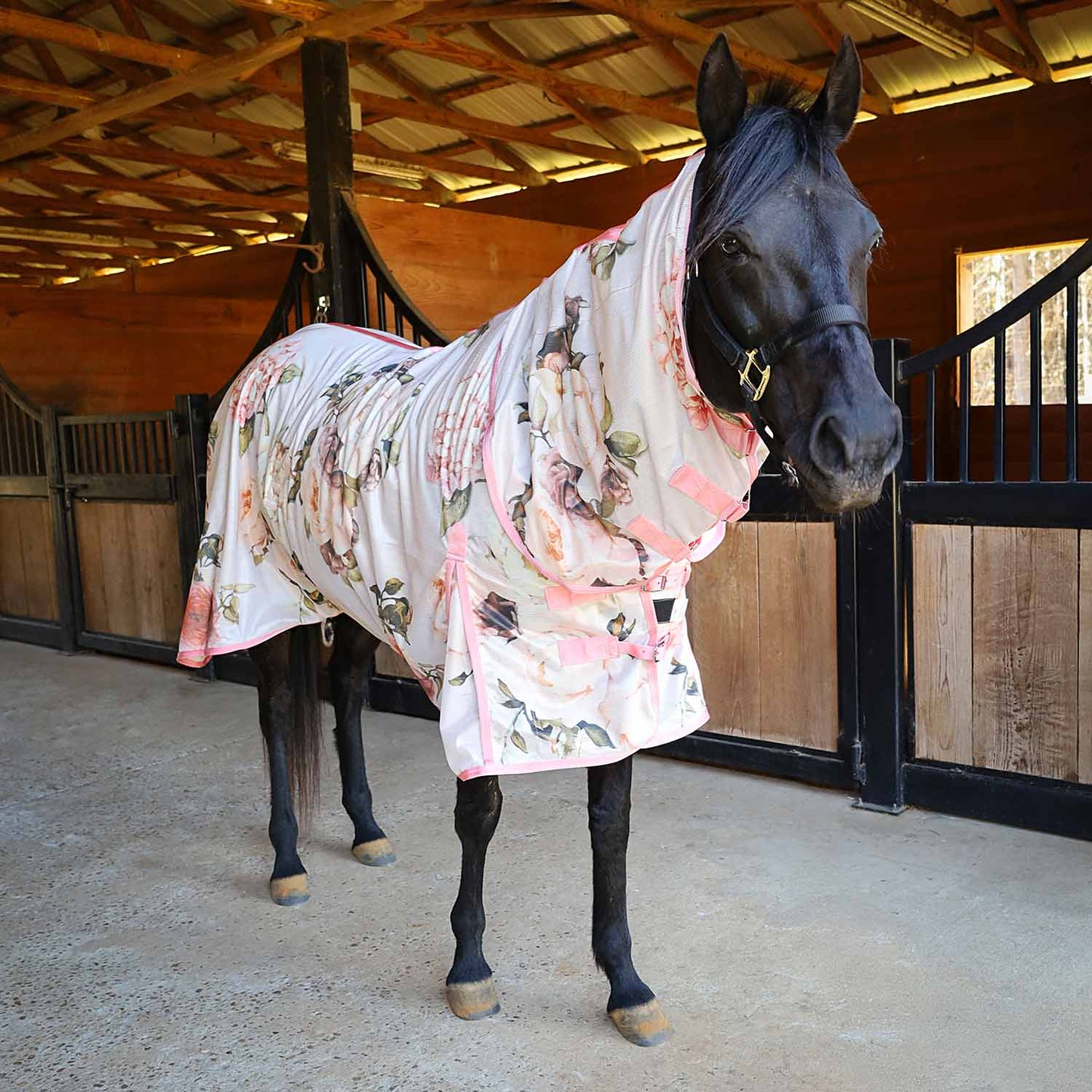 Softmesh Combo Neck Horse Fly Sheet