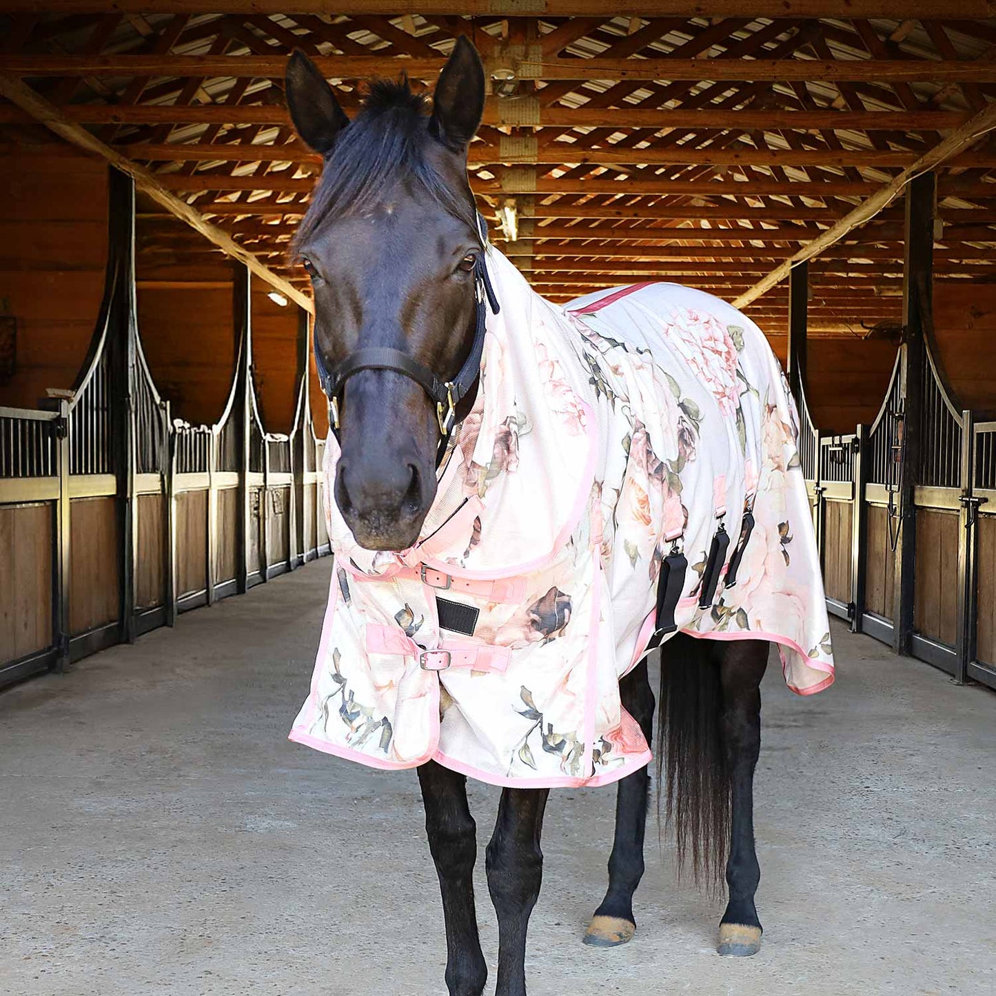 Softmesh Combo Neck Horse Fly Sheet