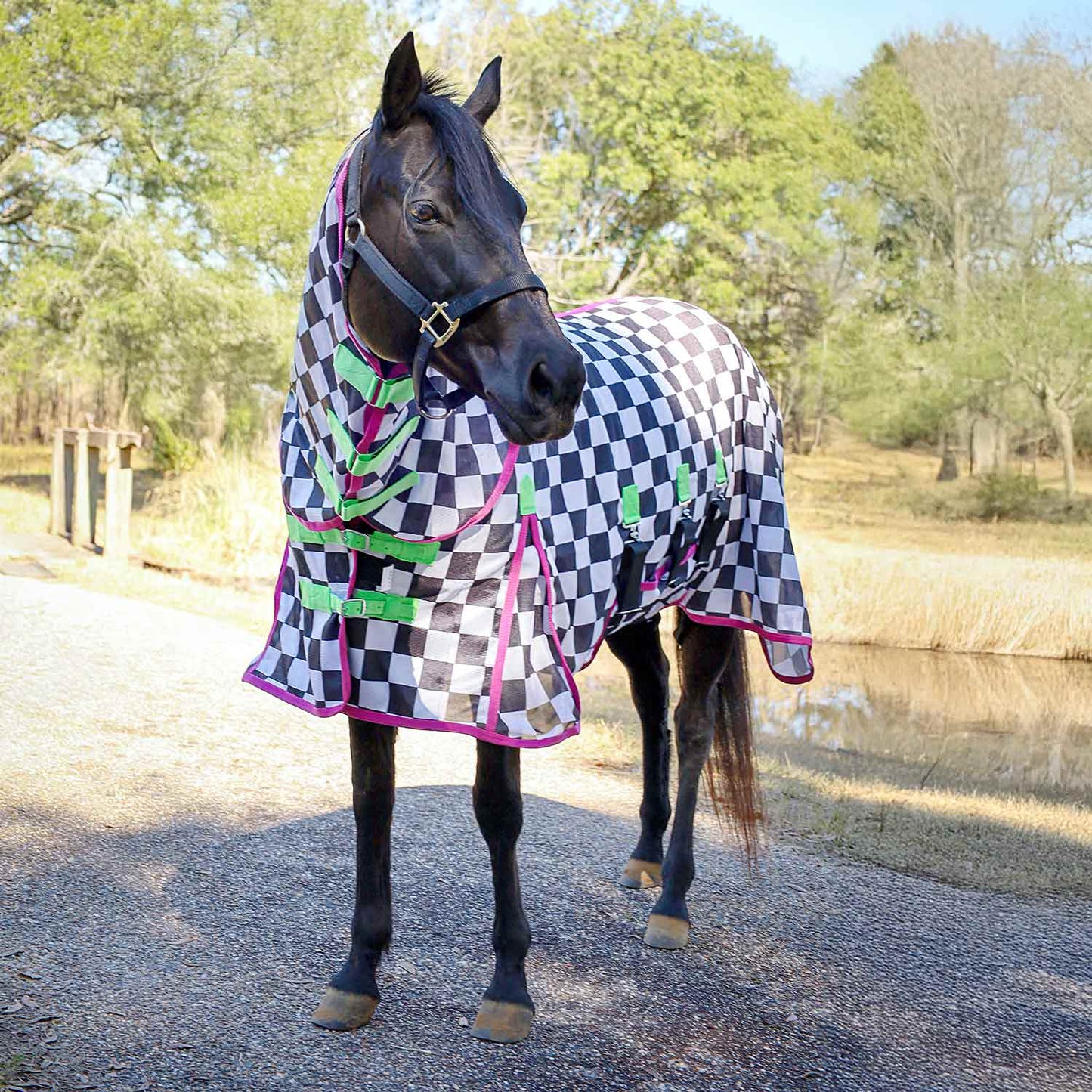 Softmesh Combo Neck Horse Fly Sheet