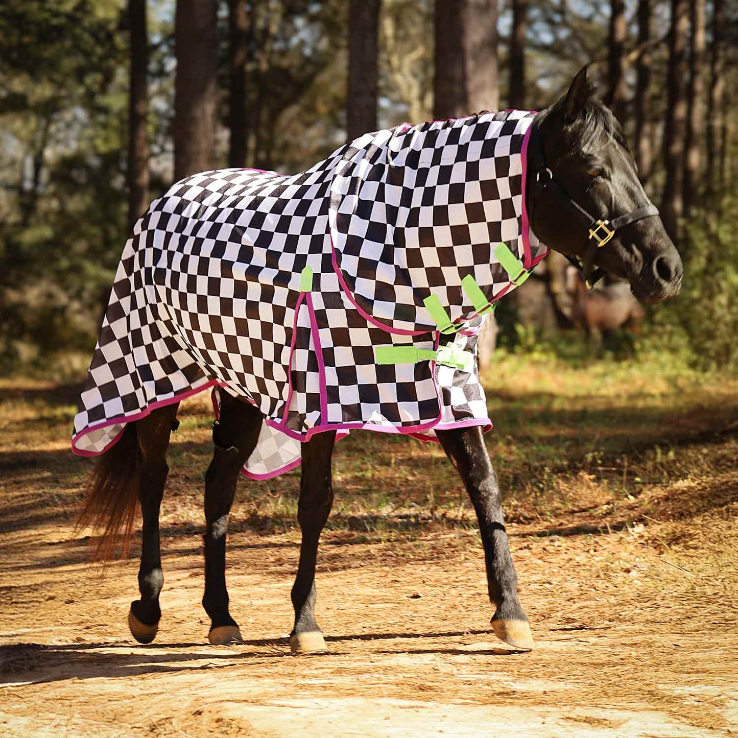 Softmesh Combo Neck Horse Fly Sheet