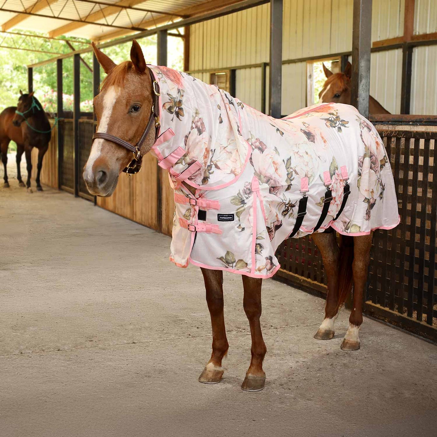 Softmesh Combo Neck Horse Fly Sheet