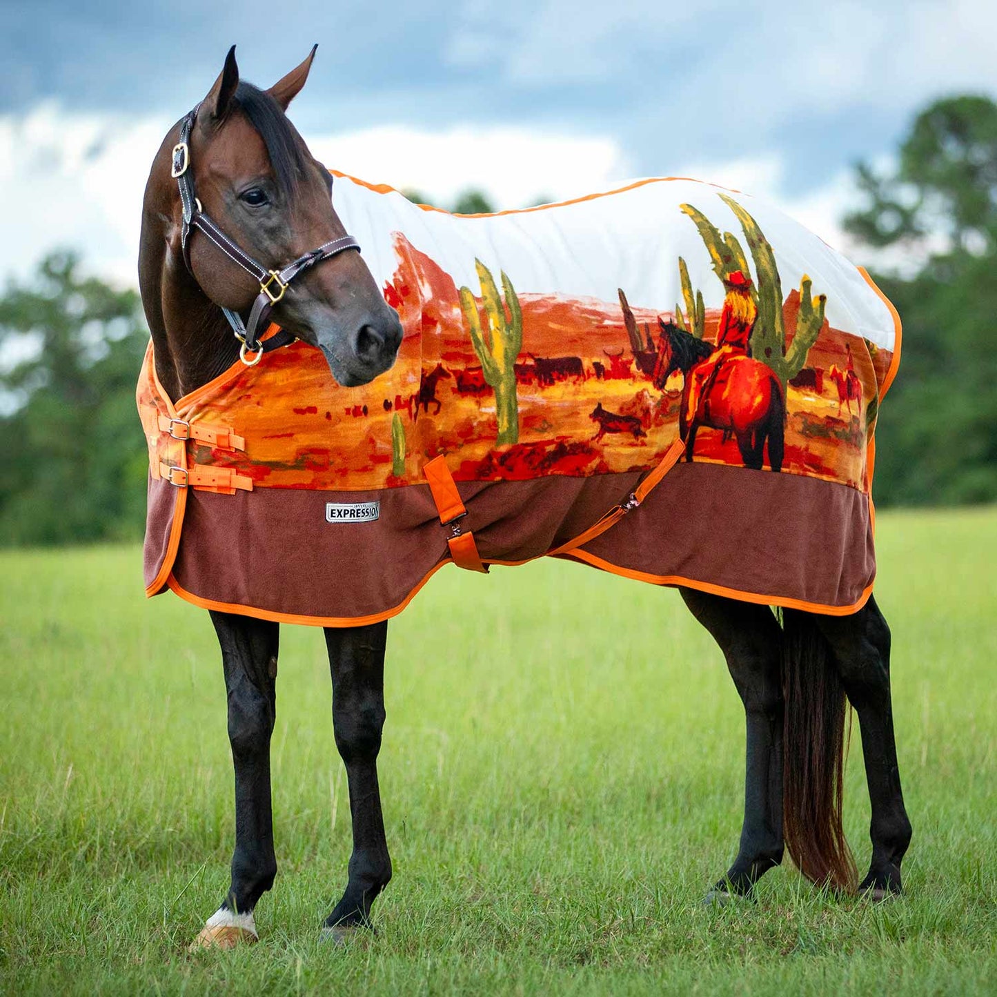 Standard Neck Fleece Horse Cooler
