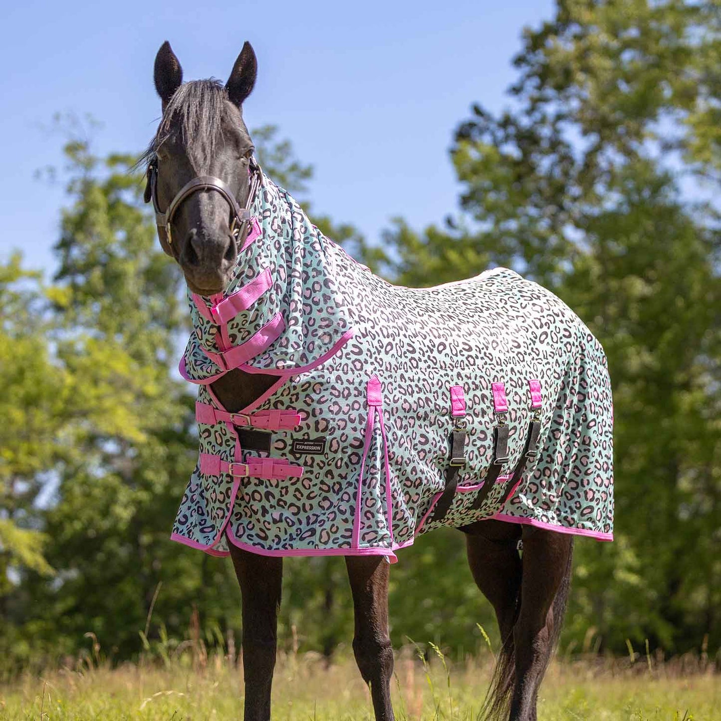 Softmesh Combo Neck Horse Fly Sheet