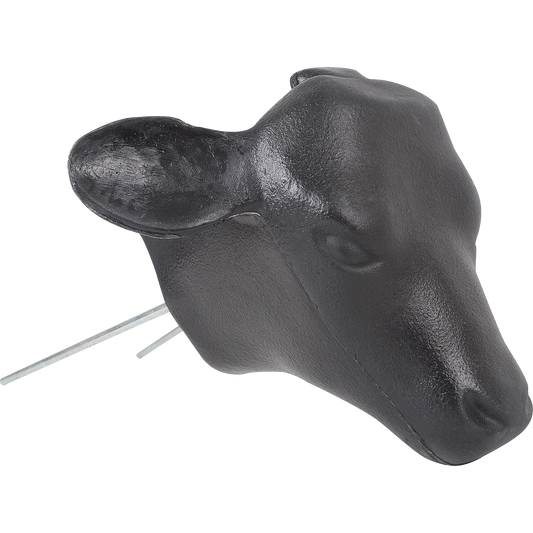 Calf Head